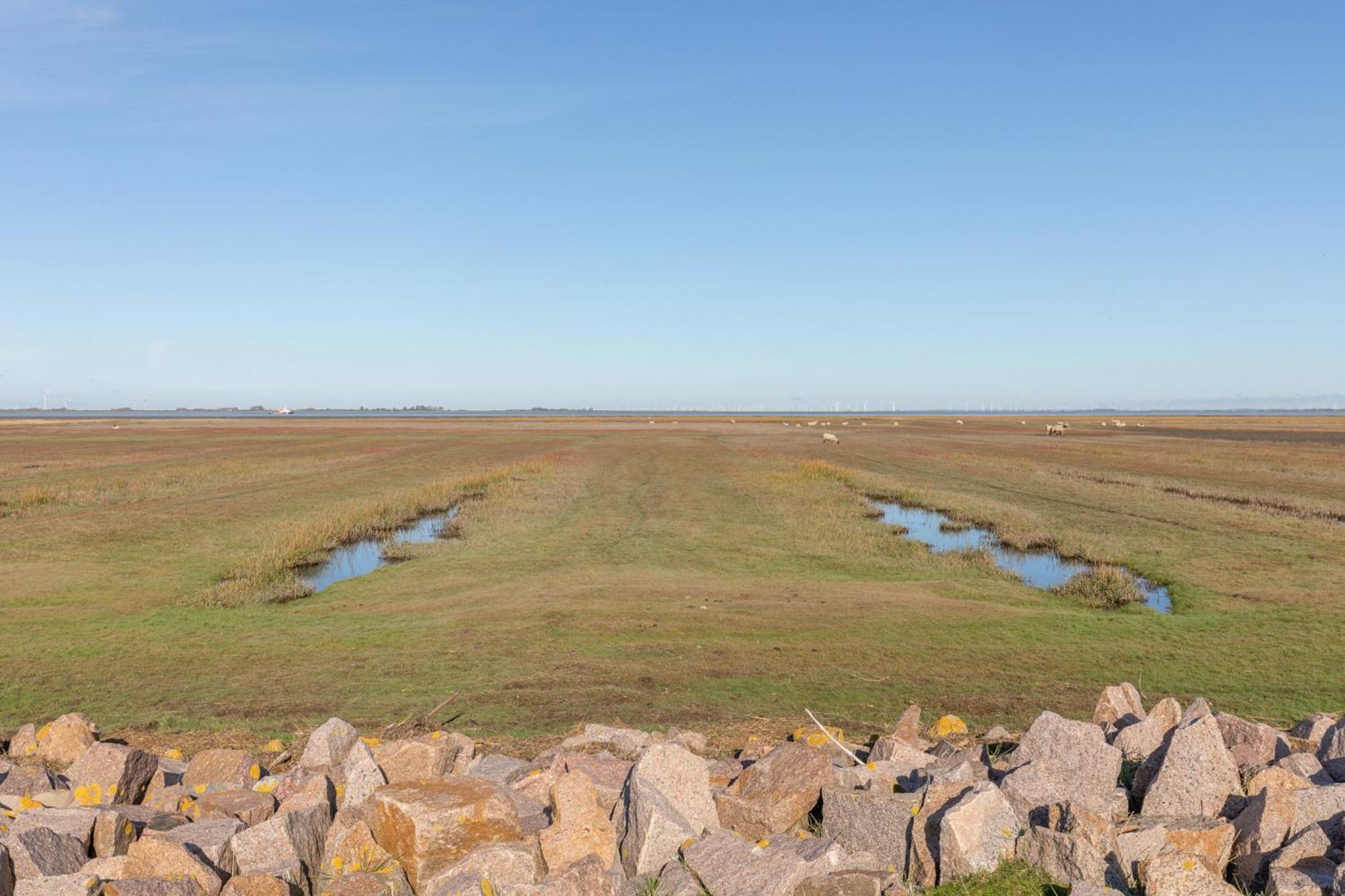 Wattenmeer Simonsberg Eksteriør billede